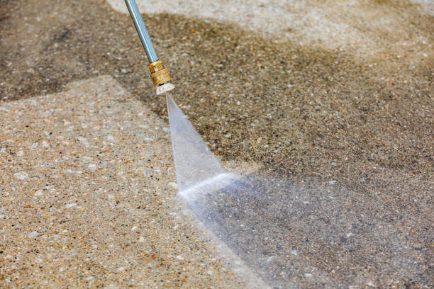 Best Animal Enclosure Cleaning  in Berne, IN